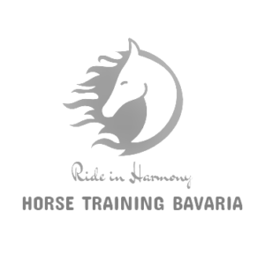 Logo ride in harmony