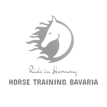 Logo ride in harmony