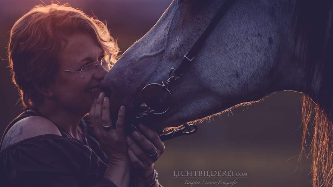 Ride in Harmony - Horse Training Bavaria